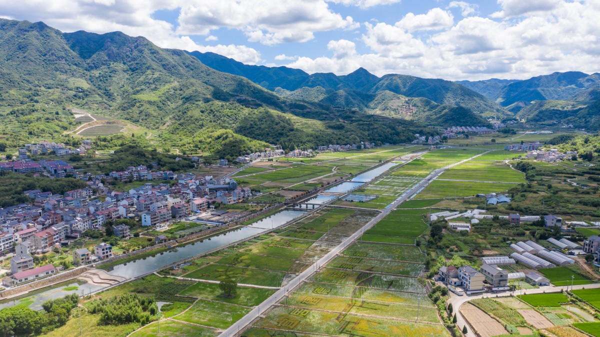 對(duì)話 | 讓文藝之根深扎鄉(xiāng)土