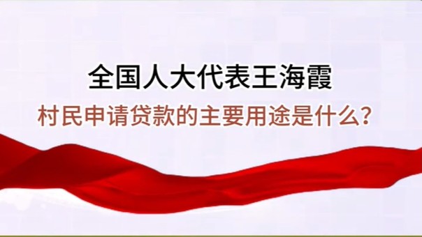 【兩會聲音】全國人大代表王海霞談村民申請貸款的主要用途是什么？