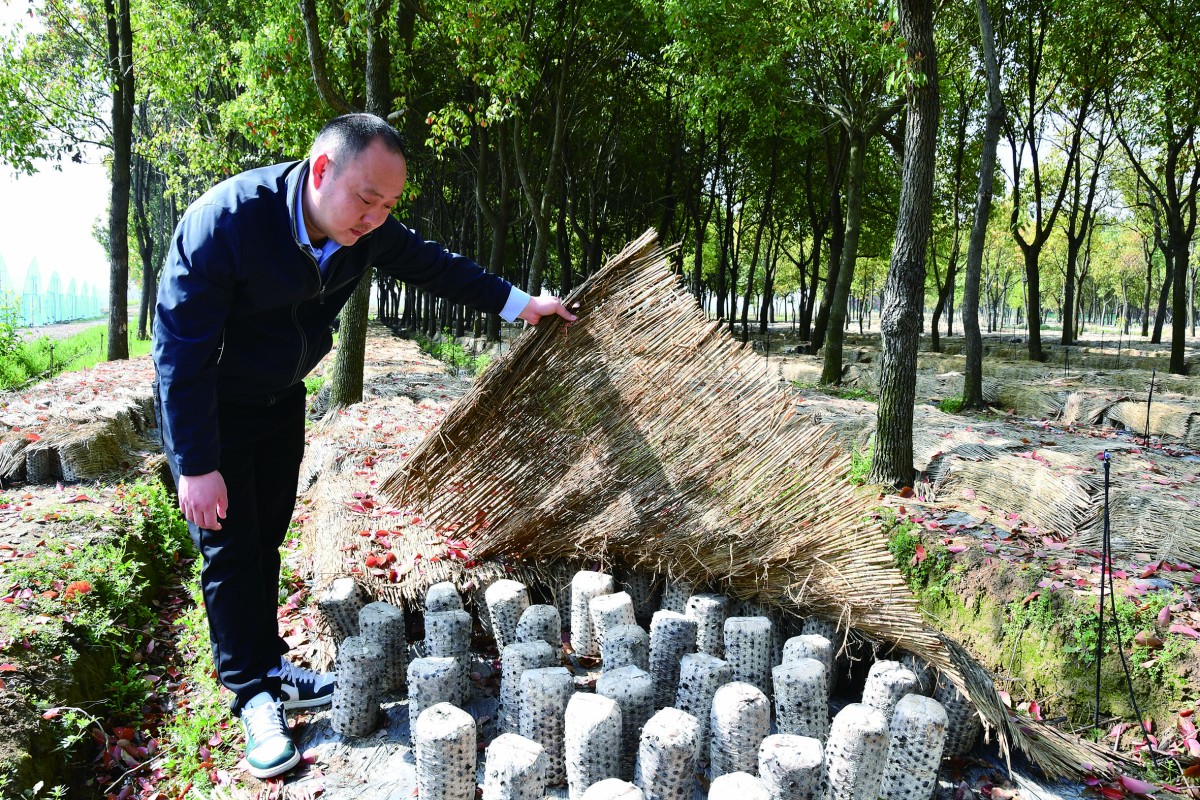 “兵支書”李子孝新戰(zhàn)場上當“尖兵”