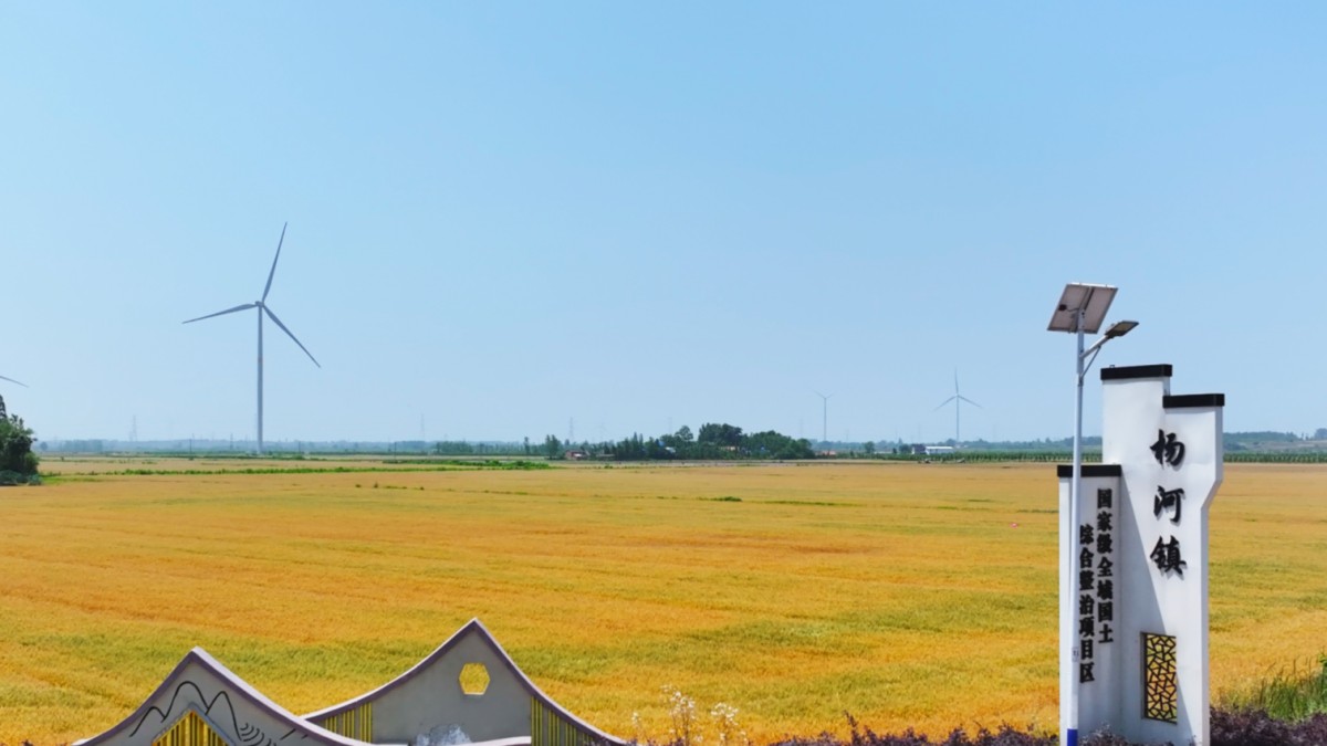 農發(fā)行湖北應城市支行聚焦全域土地綜合整治 激活鄉(xiāng)村振興發(fā)展新動能