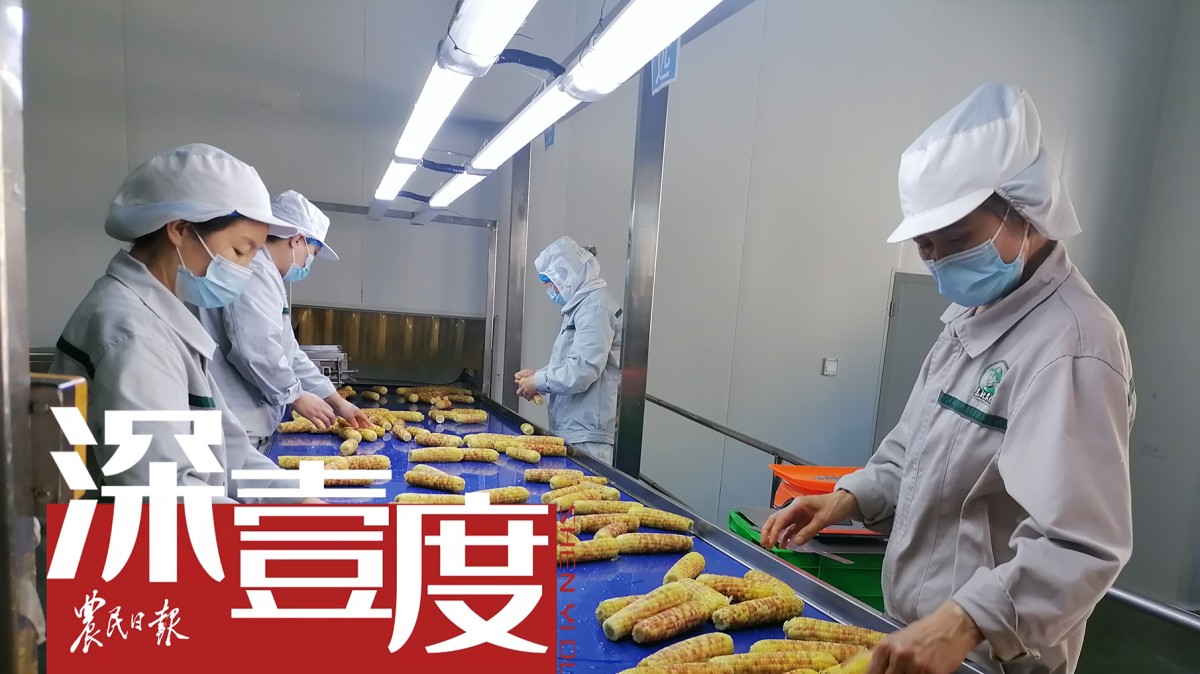鮮食農(nóng)產(chǎn)品緣何成“餐桌新寵”？