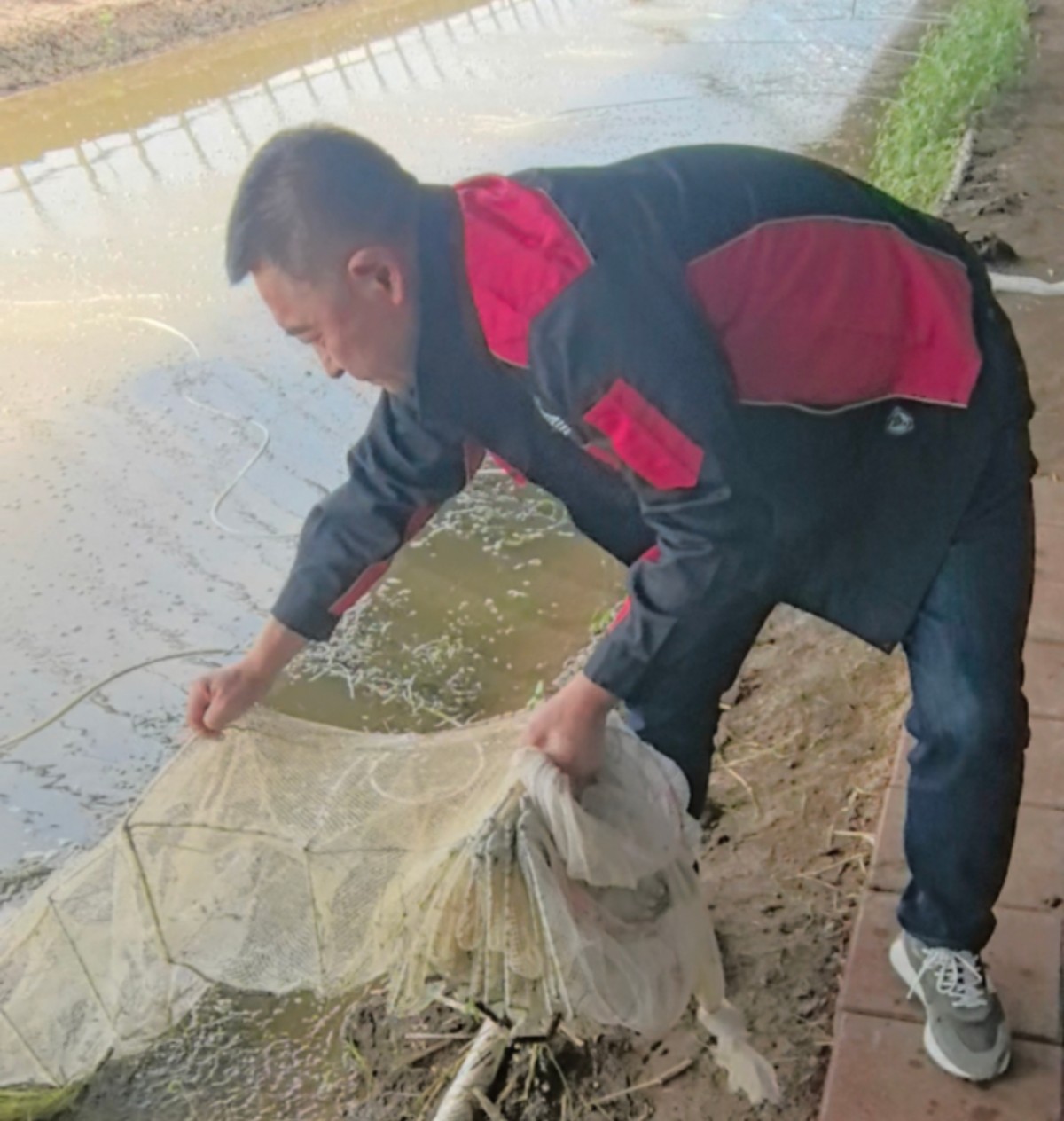 黑龍江方正縣：擦亮寒地小龍蝦金字招牌