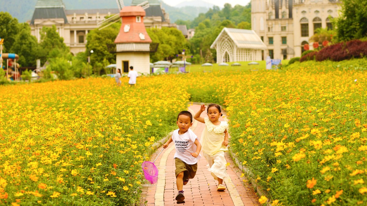 花“漾”夏日