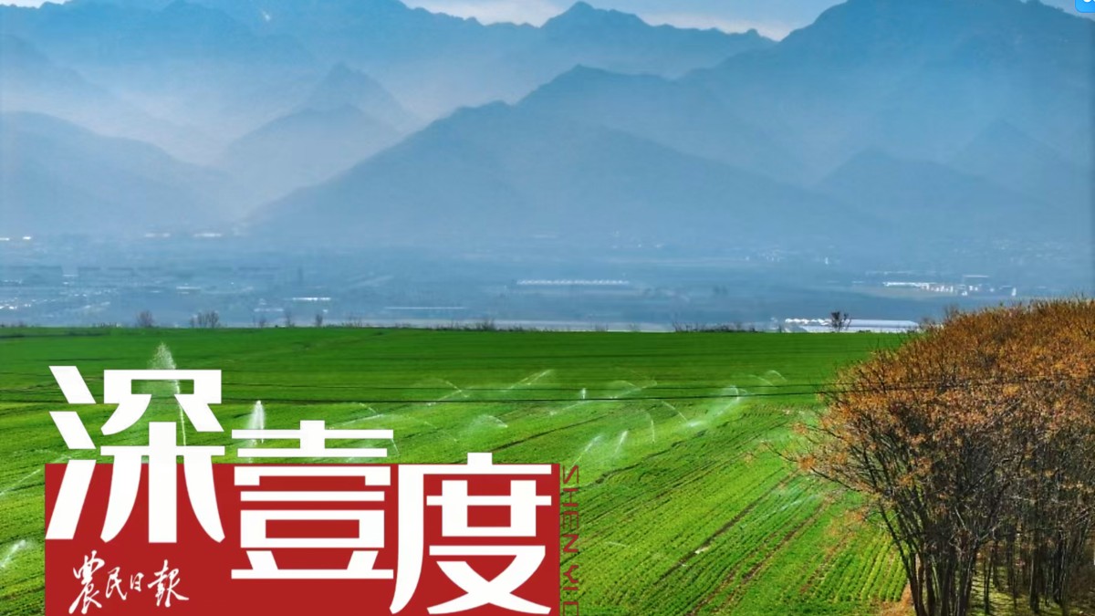 為高標(biāo)準(zhǔn)農(nóng)田插上“智慧的翅膀”