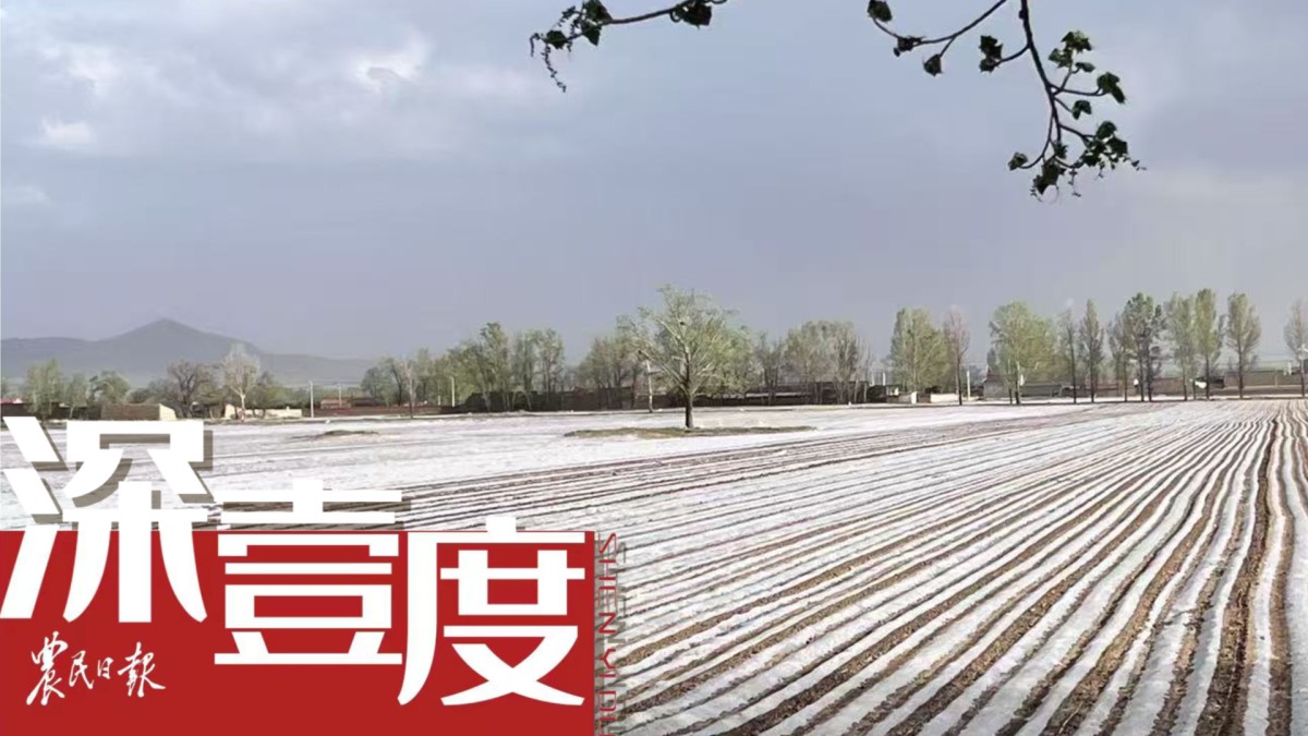廢舊地膜如何實(shí)現(xiàn)“綠色重生”？