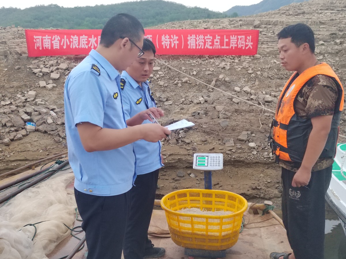 首次試行黃河休禁漁期間小浪底水庫專項(xiàng)捕撈取得開門紅