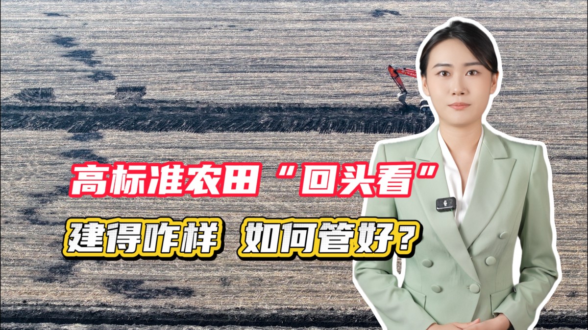 高標(biāo)準(zhǔn)農(nóng)田“回頭看”：建得咋樣、如何管好？→點(diǎn)擊播放視頻