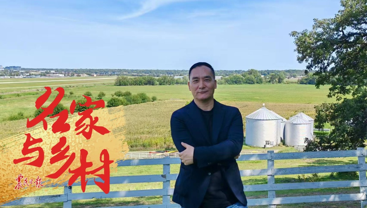 張楚：那個夏天