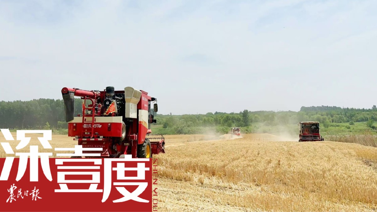 新型農(nóng)業(yè)經(jīng)營主體何以成為提單產(chǎn)“生力軍”