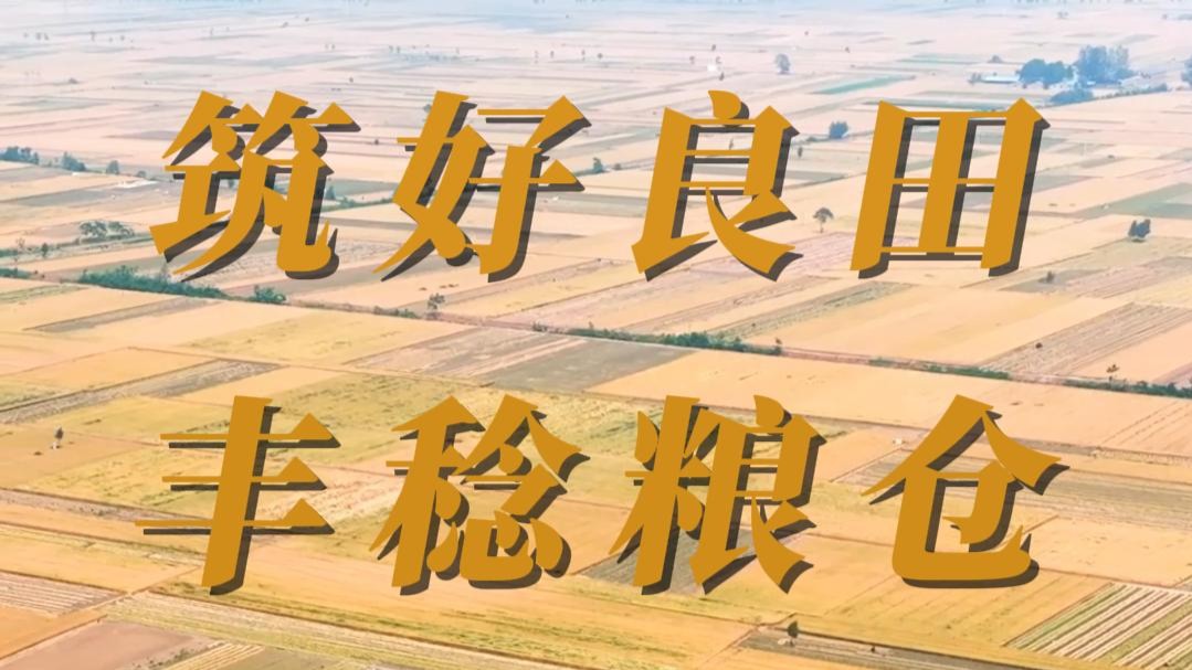 我家有良田 | 筑好良田 豐稔糧倉