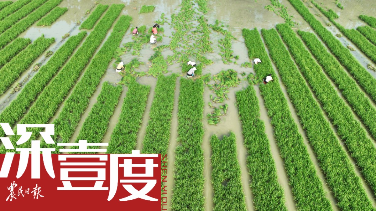 如何補(bǔ)償糧食主產(chǎn)區(qū)？