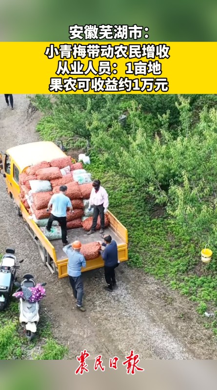 活力調(diào)研中國行｜安徽蕪湖：小青梅帶動(dòng)農(nóng)民增收