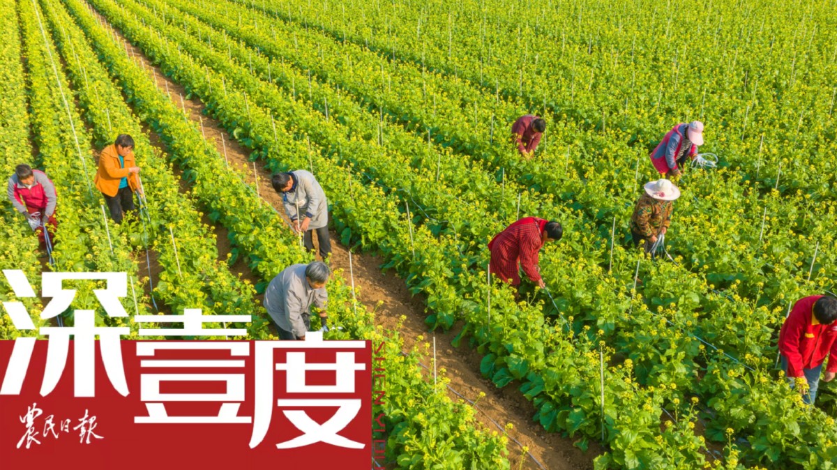 “老農(nóng)民”與科學(xué)家