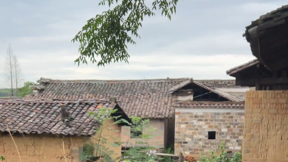 活力中國(guó)調(diào)研行 | 這是一座沒(méi)有圍墻的古村落博物館