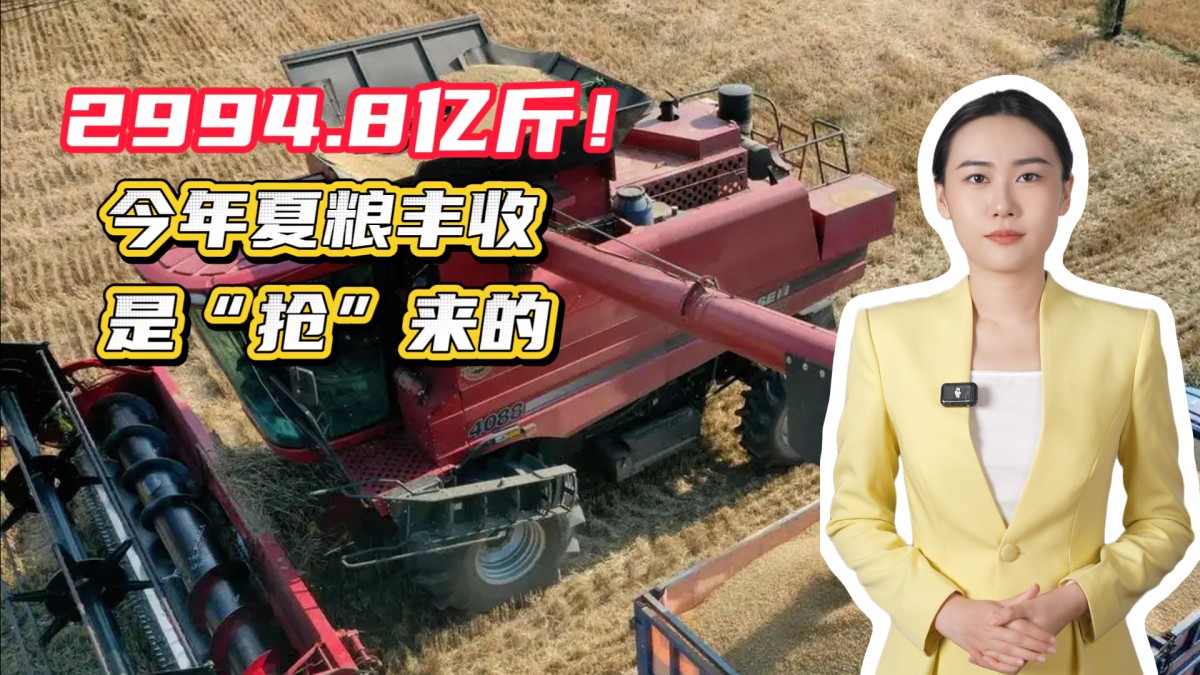 2994.8億斤！今年夏糧豐收是“搶”來(lái)的？