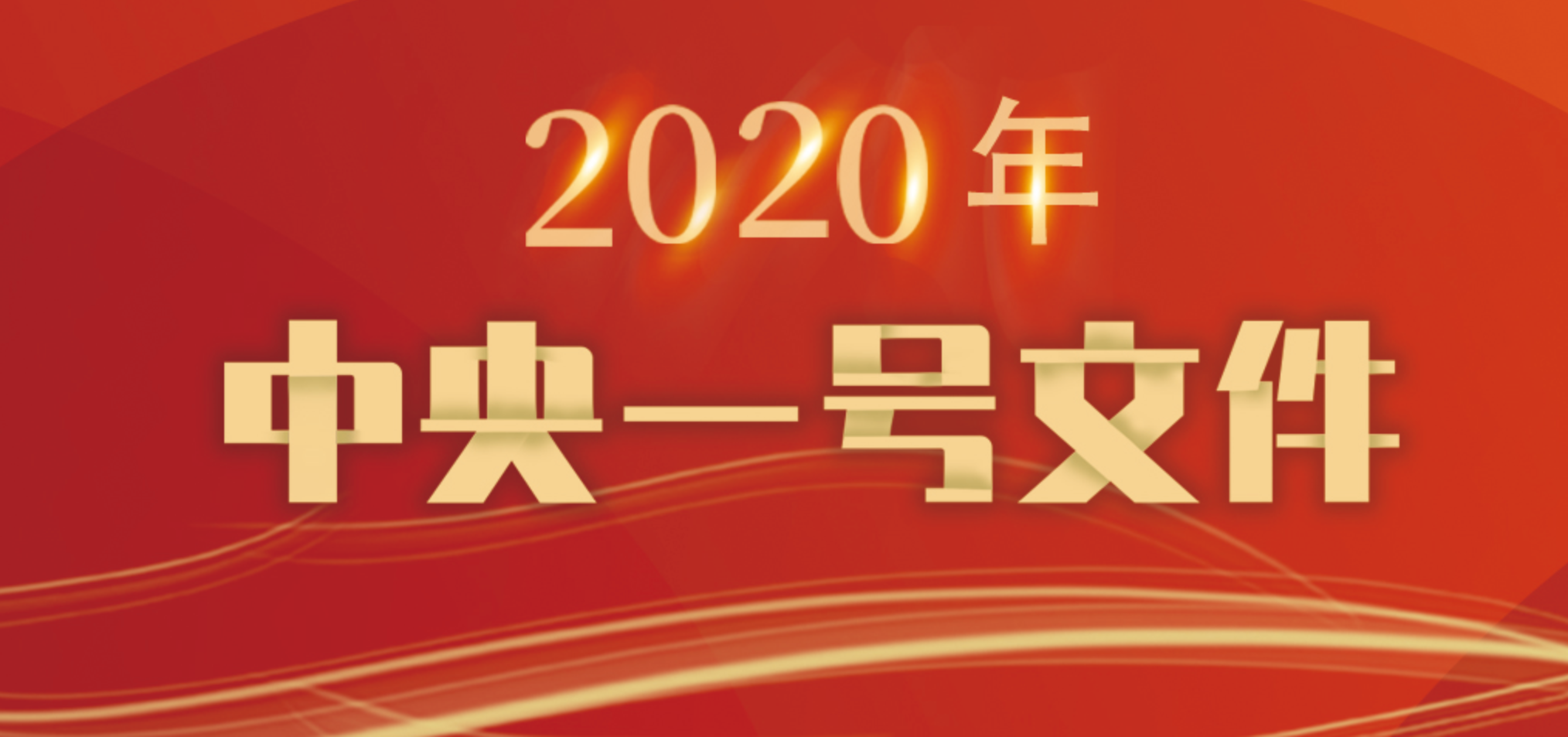 2020年中央一號文件發(fā)布
