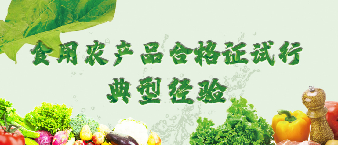 食用農產品合格證試行典型經驗
