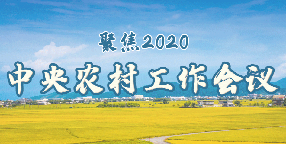 聚焦2020中央農村工作會議