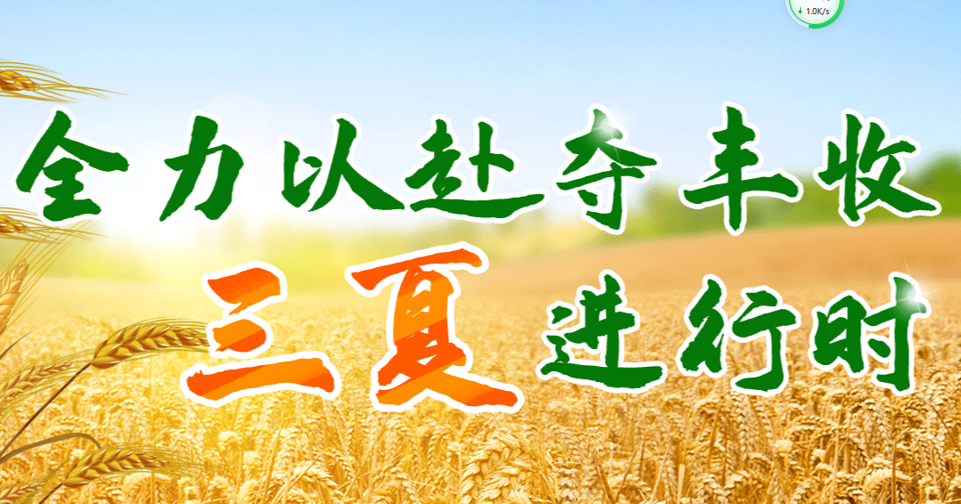 全力以赴奪豐收 三夏進行時