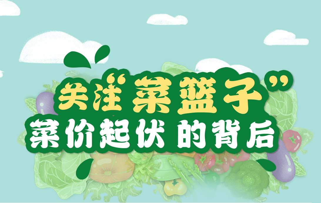 關注“菜籃子” 菜價起伏的背后