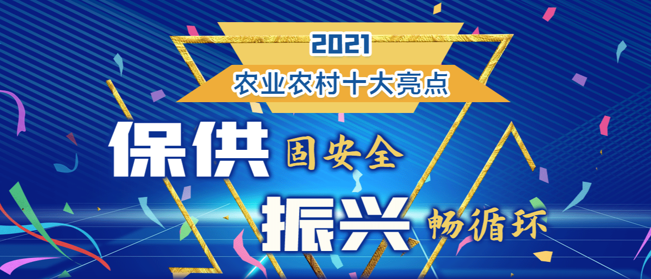 2021 農業(yè)農村十大亮點