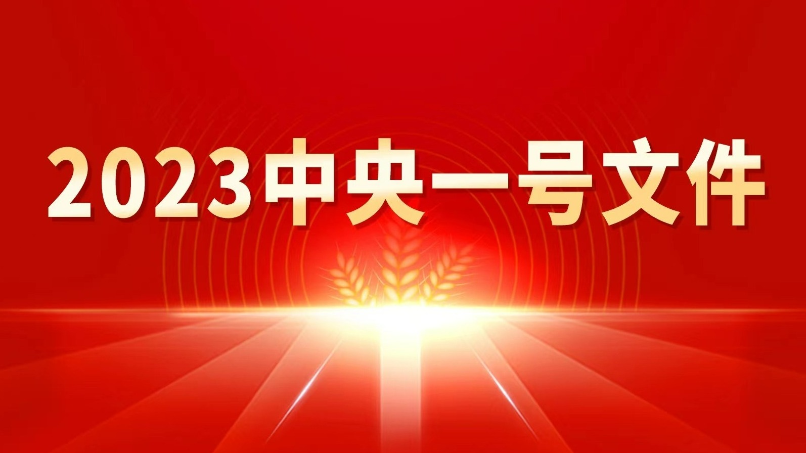 立足國情農(nóng)情加快建設(shè)農(nóng)業(yè)強國