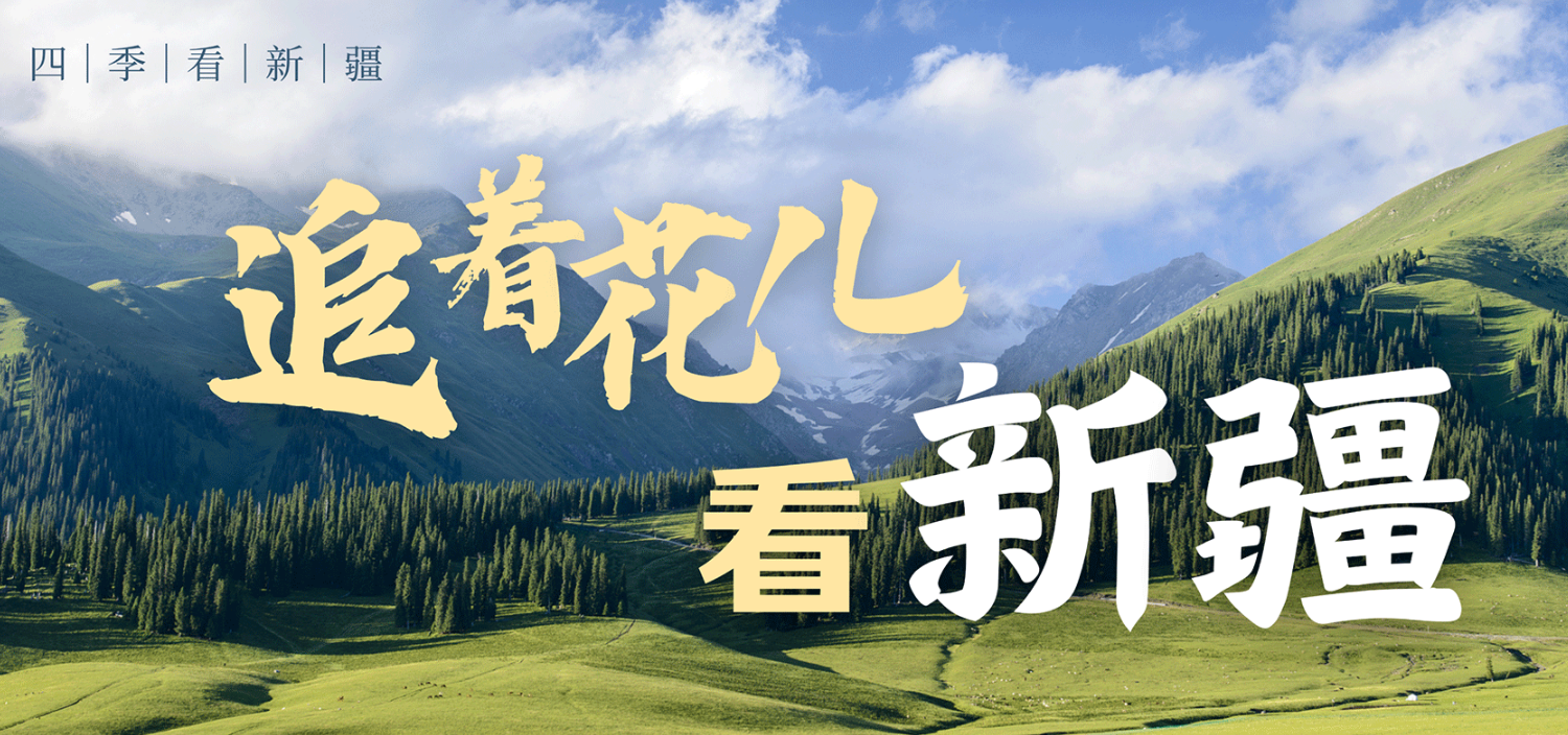 追著花兒看新疆