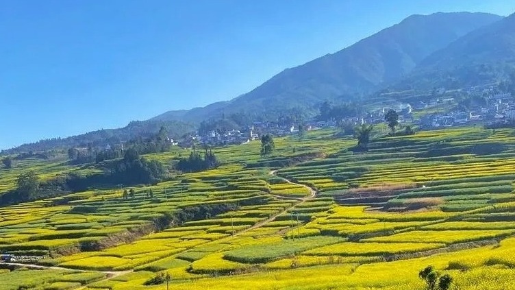 農(nóng)村醫(yī)療衛(wèi)生人才的供給困境及改進(jìn)策略