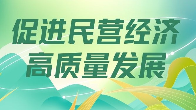 促進(jìn)民營(yíng)經(jīng)濟(jì)高質(zhì)量發(fā)展