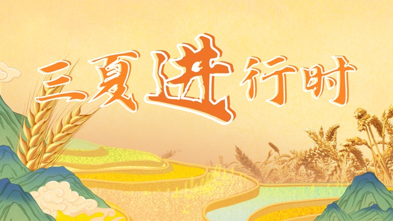 三夏進行時