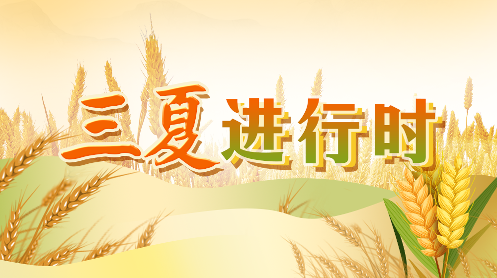三夏進(jìn)行時(shí)