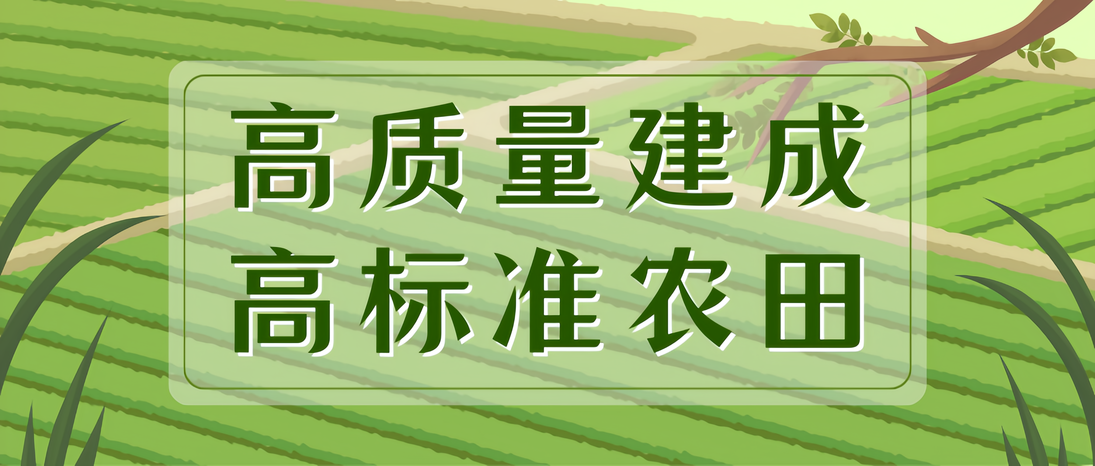 高質(zhì)量建成高標(biāo)準(zhǔn)農(nóng)田