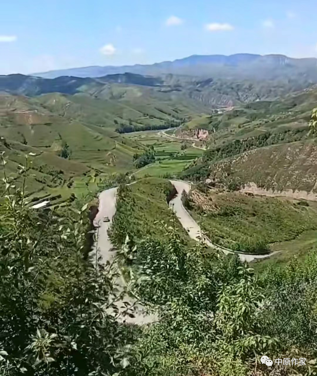 圖片